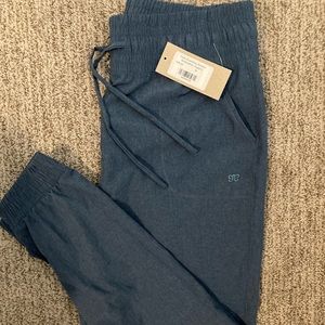 Albion fit destination joggers